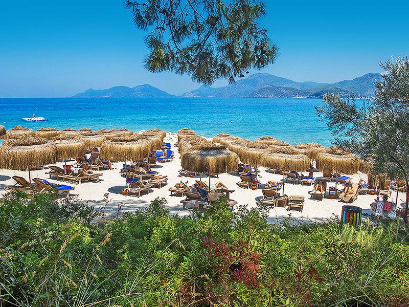 F9616720666AF7350DE6DA251A333522