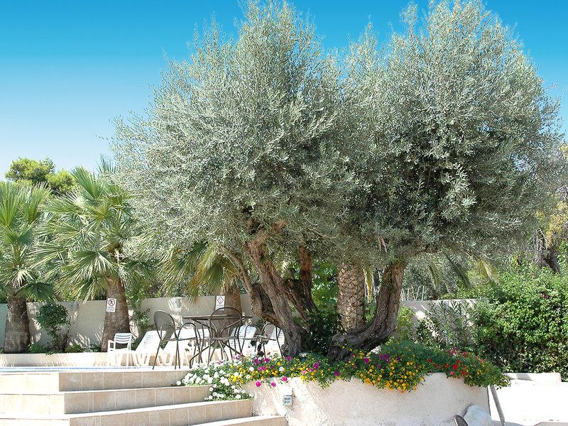 2D3D51A79E0DDEC23D3F49BE710E4967