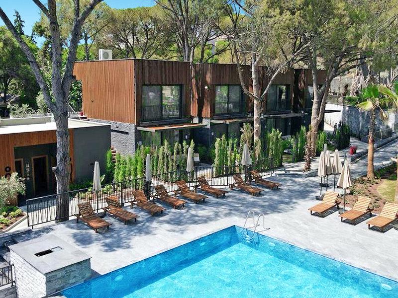 ED21222639D0B495C05262D0EBDE4B56