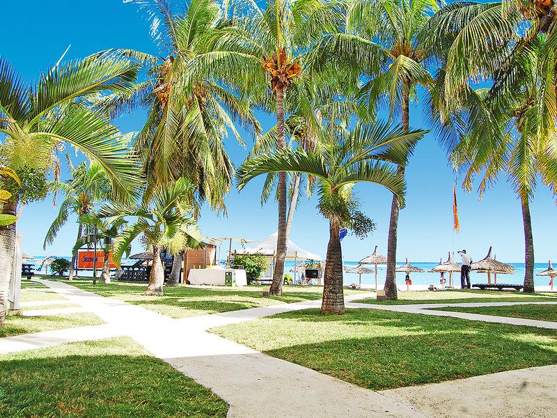 CEDE3FB949BA5583055117C1D33D34EB