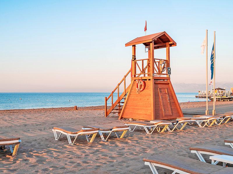 7DAFC2129BF0F06BC2C897F7C7361679