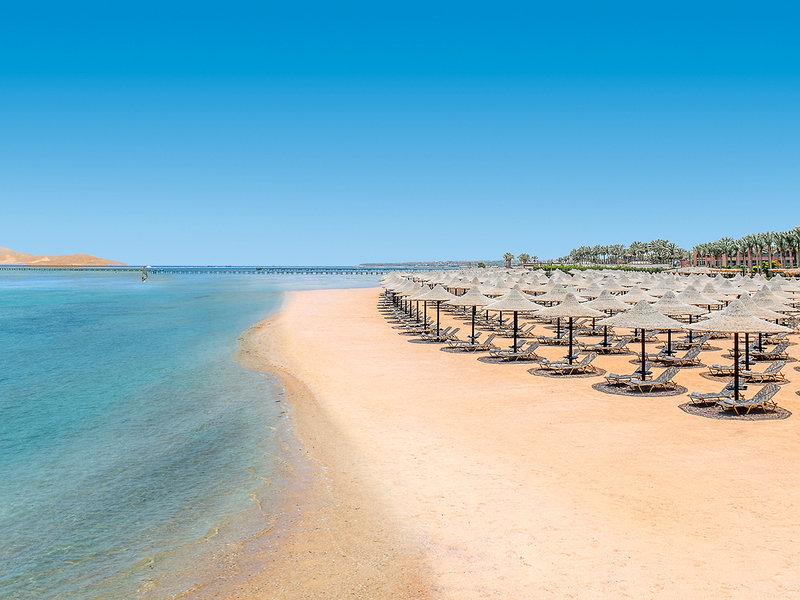 6F8CF778C03885319E0260749B6B7CBB