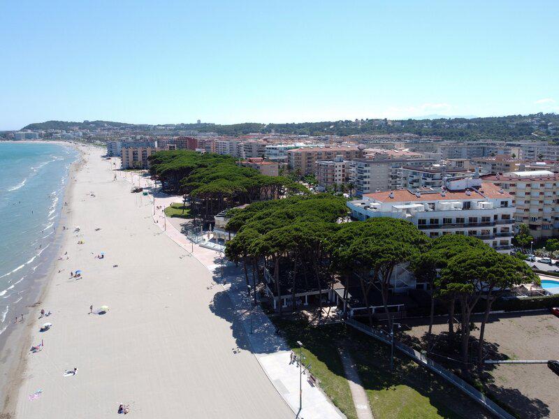 56B52E1DEC2015C8288AA91B421B7F5B