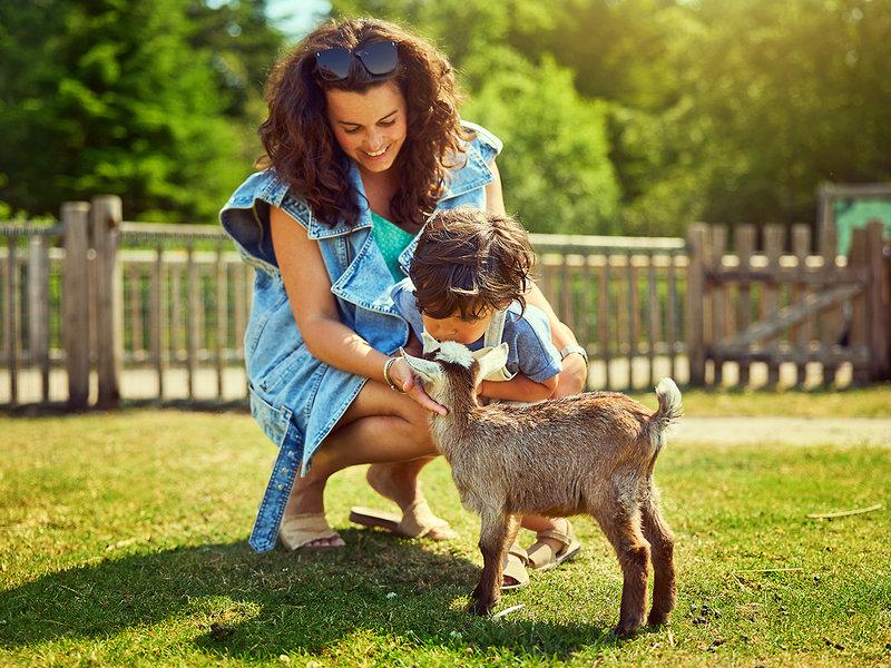 AA722DBD8C34CFA5DA4202DFA689D311