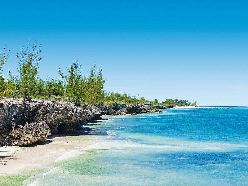 CC37617BDCEDF35453B6A86E4E1AB758