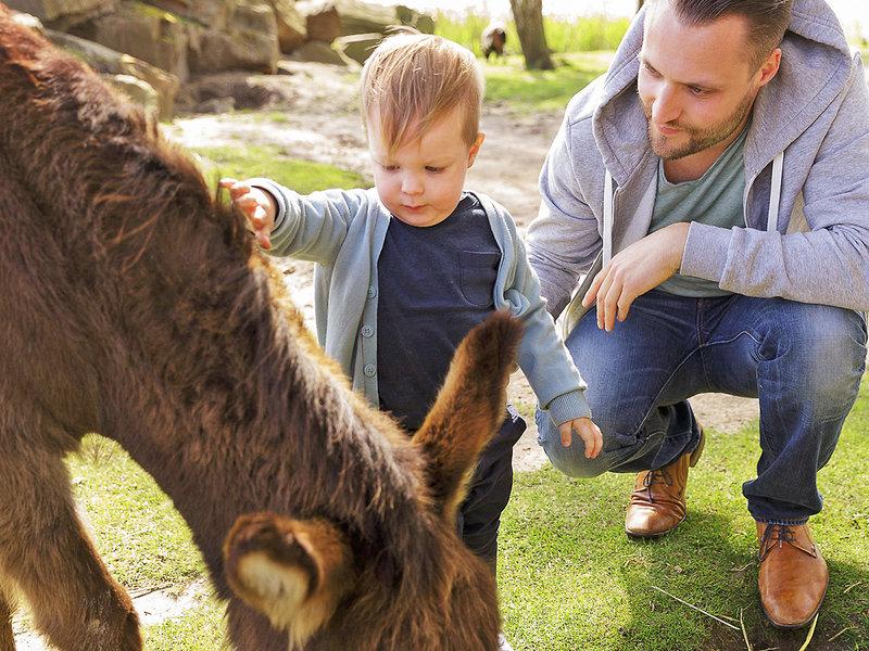 31801241AA851B67BB9F451822FE7218