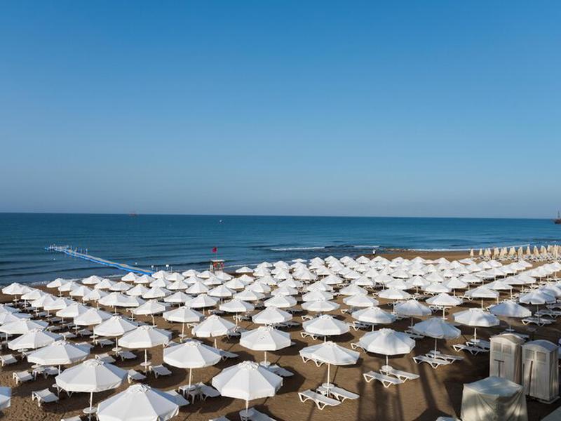 62195B6AD9106187F52A73A8B598CE31