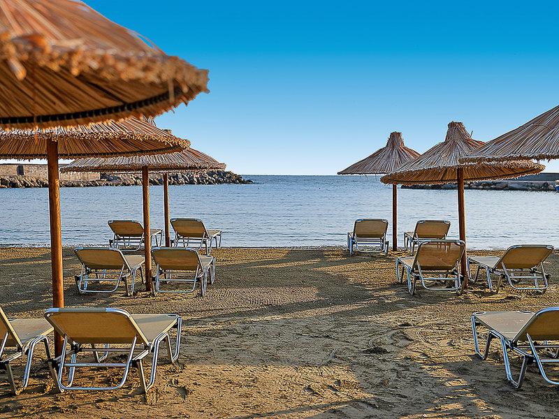 F8C12053DA36B0AEA1D2EC0EB8F1503A