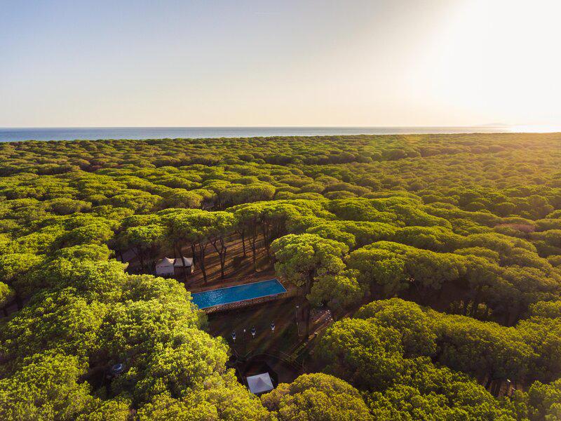 A05928E66FD0A9293F11D23DA6B1FE32