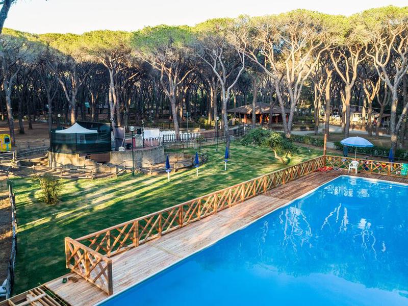 94D3BBA2D2E56DA262C0DEB1E52BE849