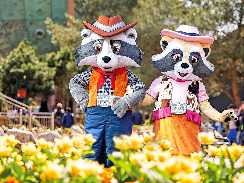 4247D9D466D578C106B3ADB357C76EAF