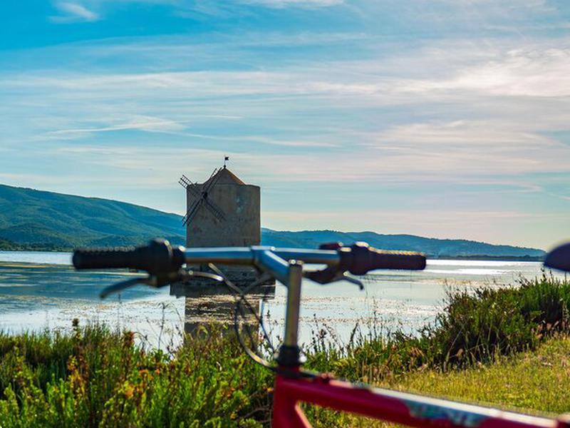 78BE6F5DF823B347763BB683424C0782