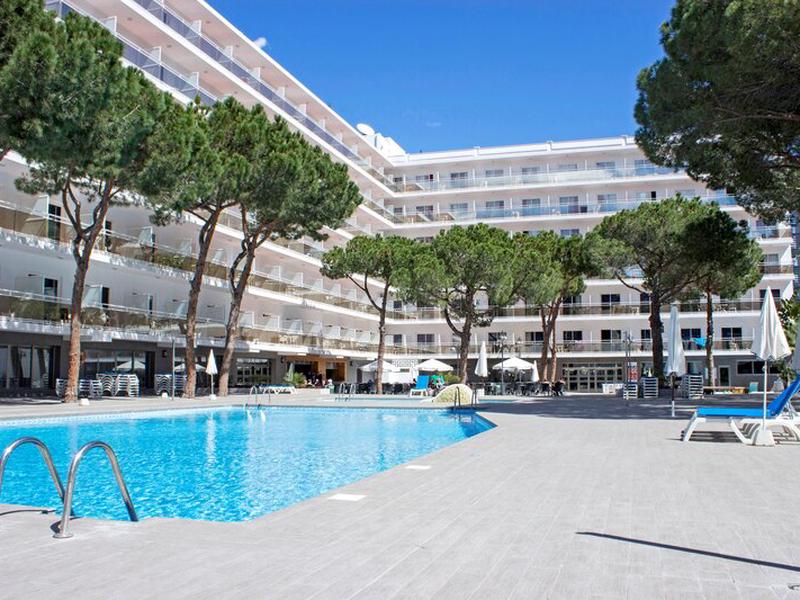 BC07BCF223312FA7010FBFEB6ACEEFA4