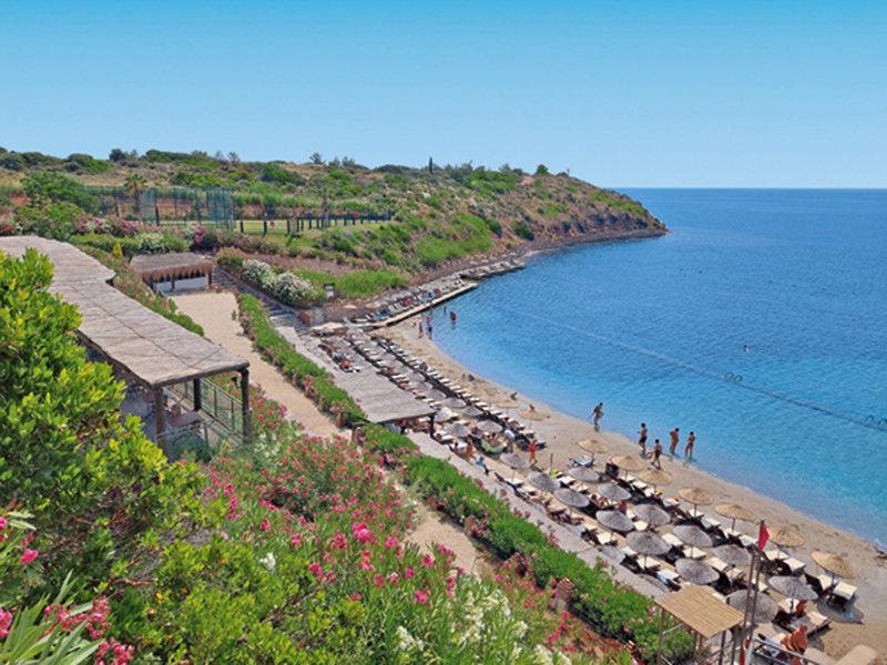 A847BE07709D11D72A2560E3878FD07C