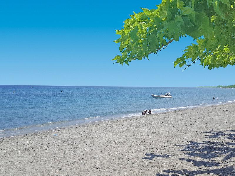 2699CA3A5B060620046080C9129A0635