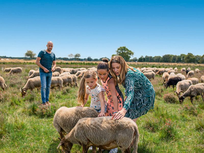 B858425BE3F3F5A1FA673ECC566DCDBE