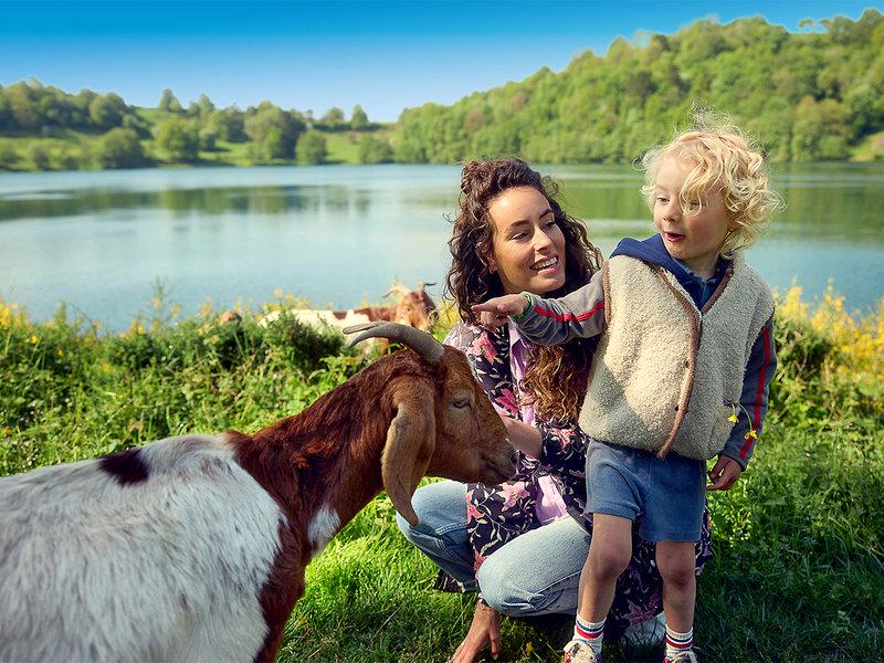 36BDEC42ECC0703BAA0256DF67BB64F6