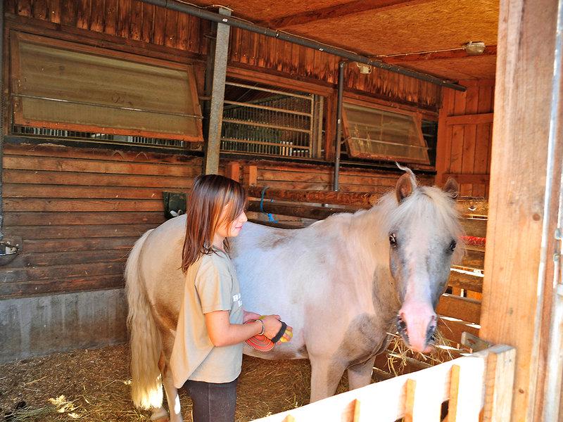 A9EFACACC36BBB80FD37E57067329376