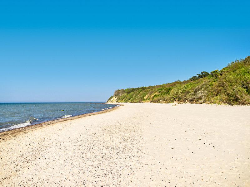 4402E8A17107222D9A0891F35B3601CC