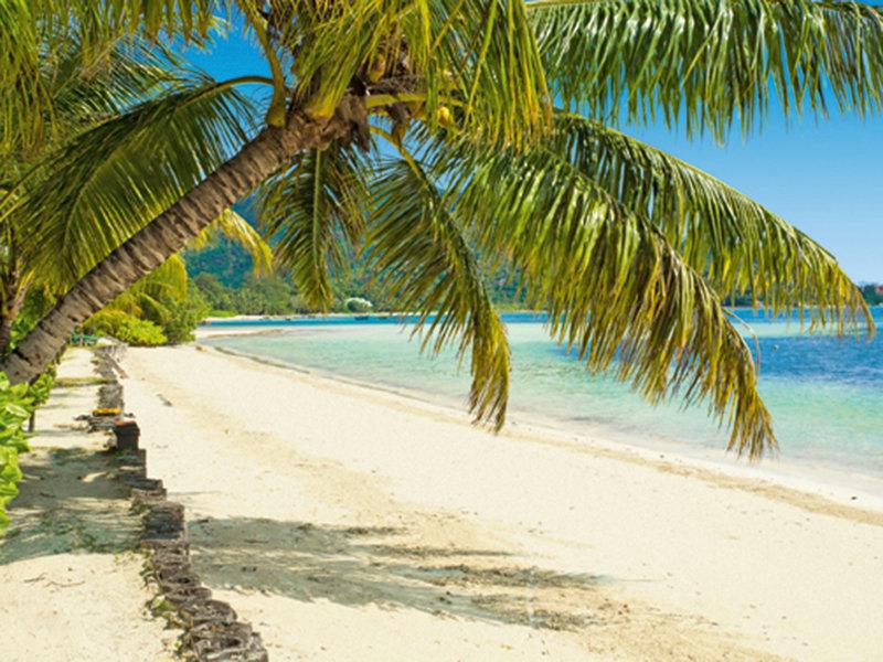 117ABAED9B819A73A7951FC7E1B9B064