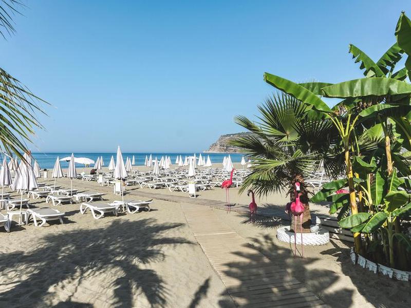 173F6E221D0FB3A1313E2EA5A28FC5DA