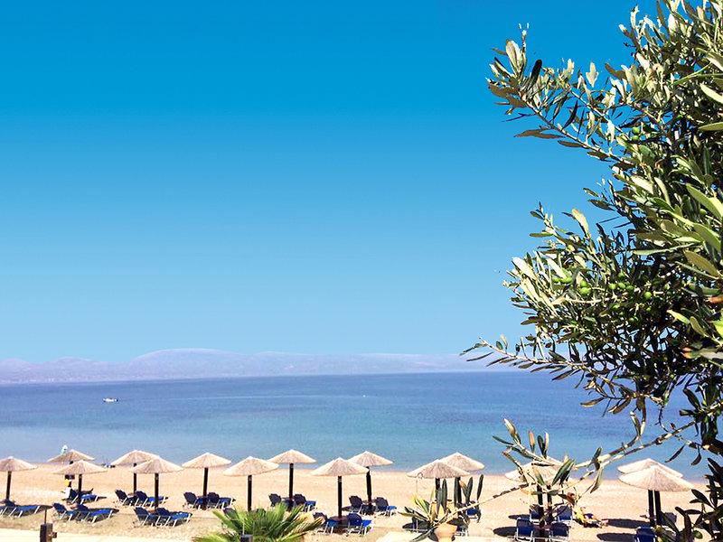 04462C8535A88F43C1C9BE41680F5D5F