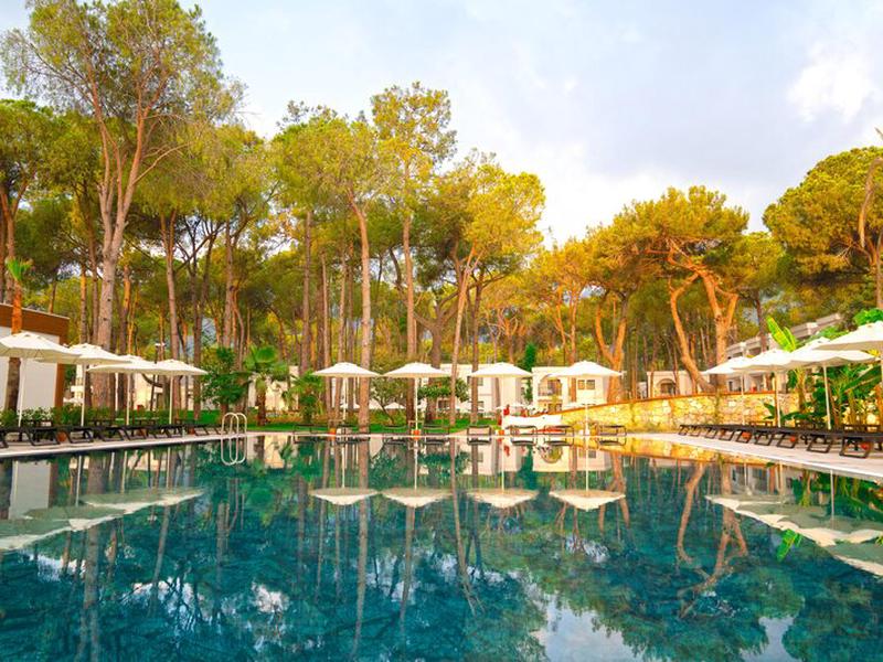 49DF7FDA06BF56DA0C557499FB79D308