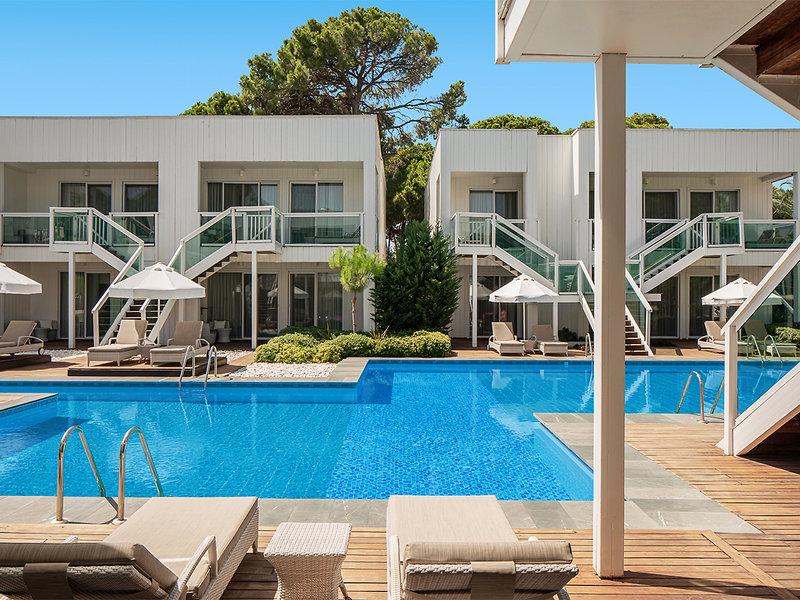 D886CADBAEECA530FF691EABB499DC4B