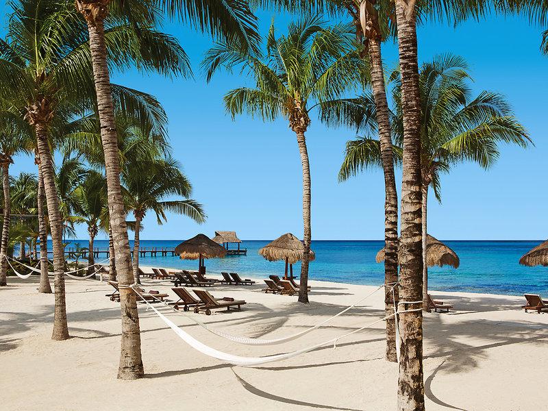 D8A1C9C2CE319F977FED47842B9634DE