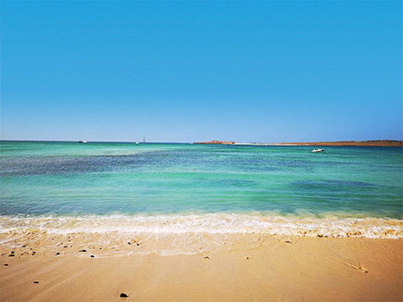 FD28540CD3203224C48098F8518233CD