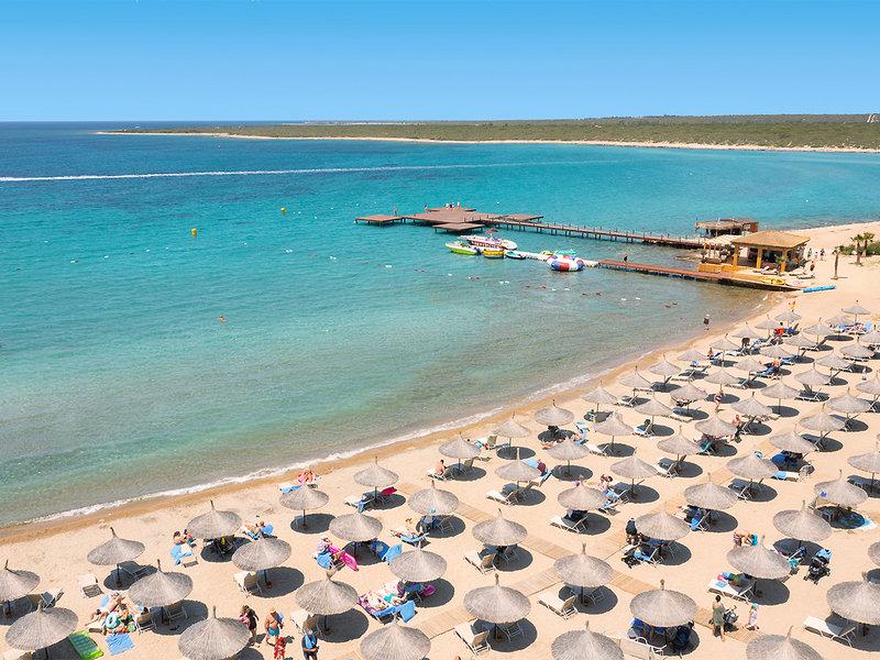 792C74589773971AD5384EC44A7AE1DC