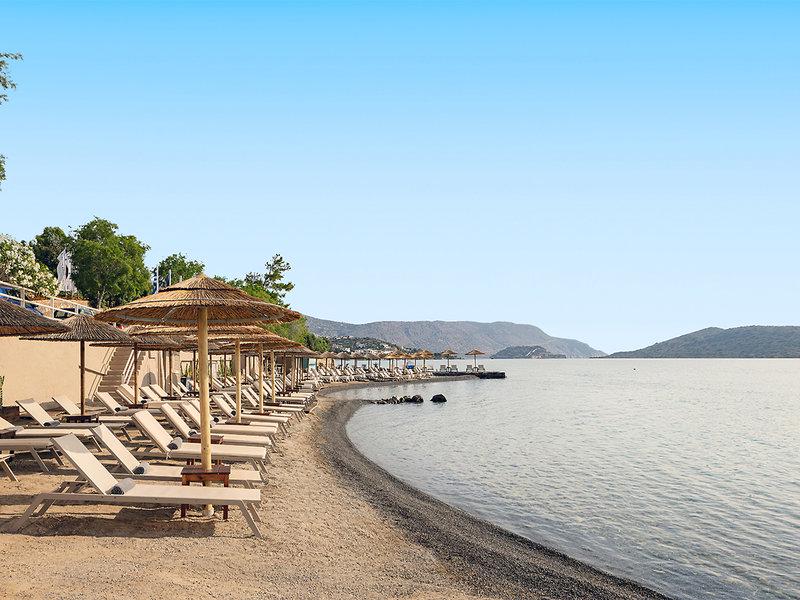 9E692DF990E64B4C53149D3B1B389868