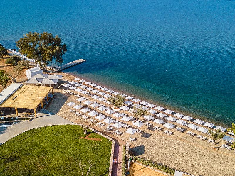 5E152DB8F9633F8BE3994F1BE74055A1