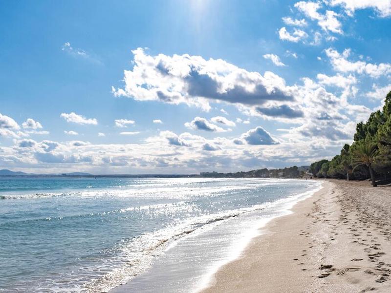 07A9F99E0154BA8561F8C1DFDFB01709