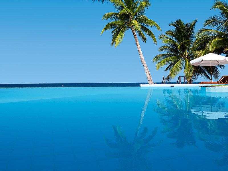 8F69E38681D0B3E3E3D0D41BD01DDE32