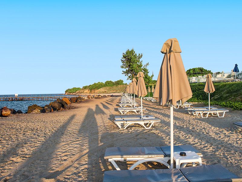 90418563388F1DC05227899B72251BE4