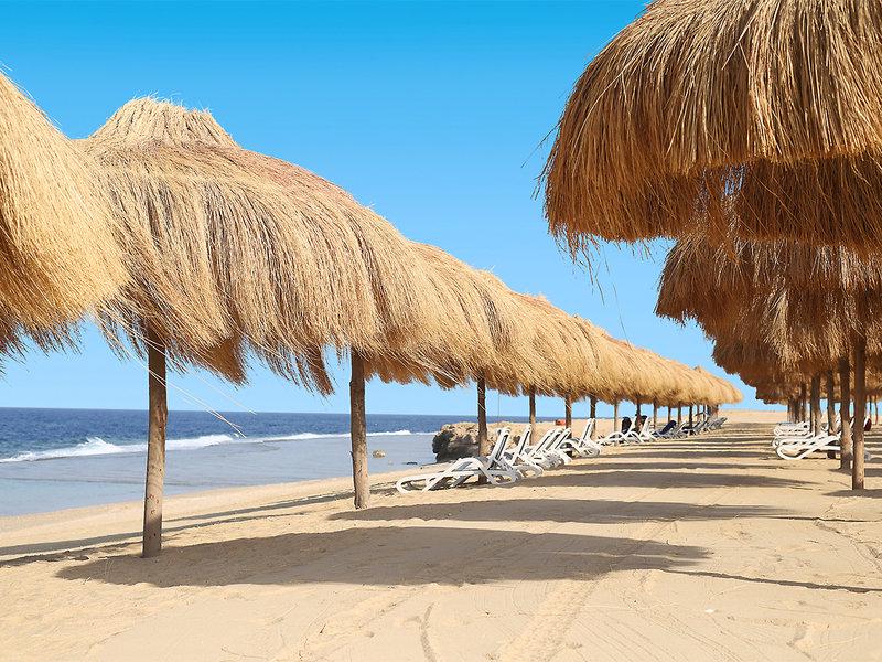 6840F913DE5DAF45963CC6704CA67EFC