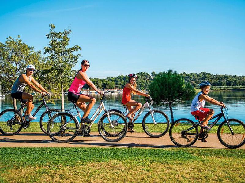 7301D48E418DFED46D83C5E345A09285