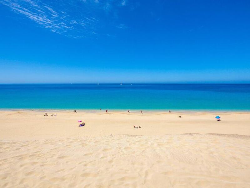 EA1E51B0B22FD96A59FCDF30B2E96440