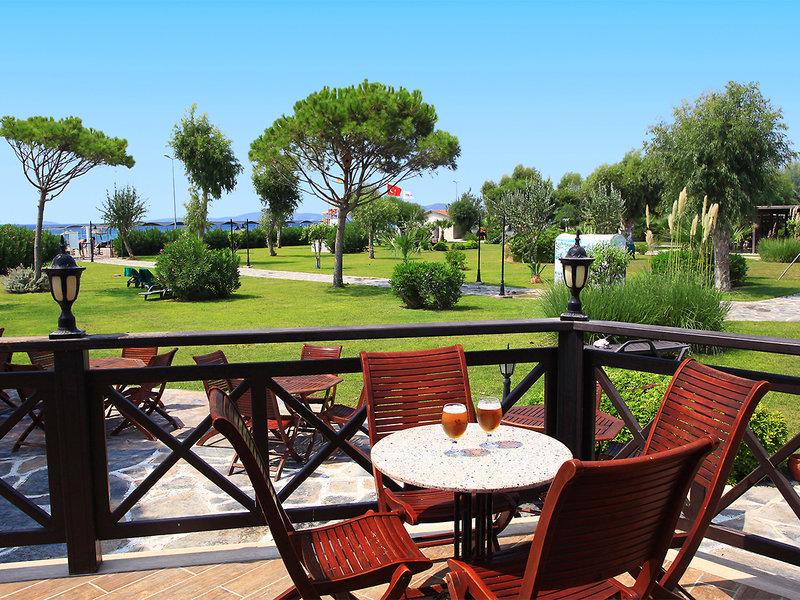 E56CAE04666A6BA91C4AC5B94BF5A81B