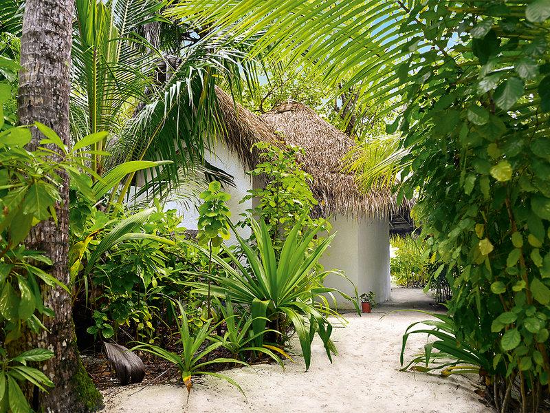 97F0665F9D94D38DCAAD03E2D3DC9846