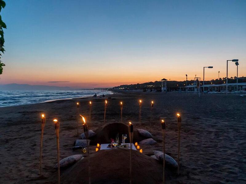 2B8A0C477C5513E54E136E774D99012D