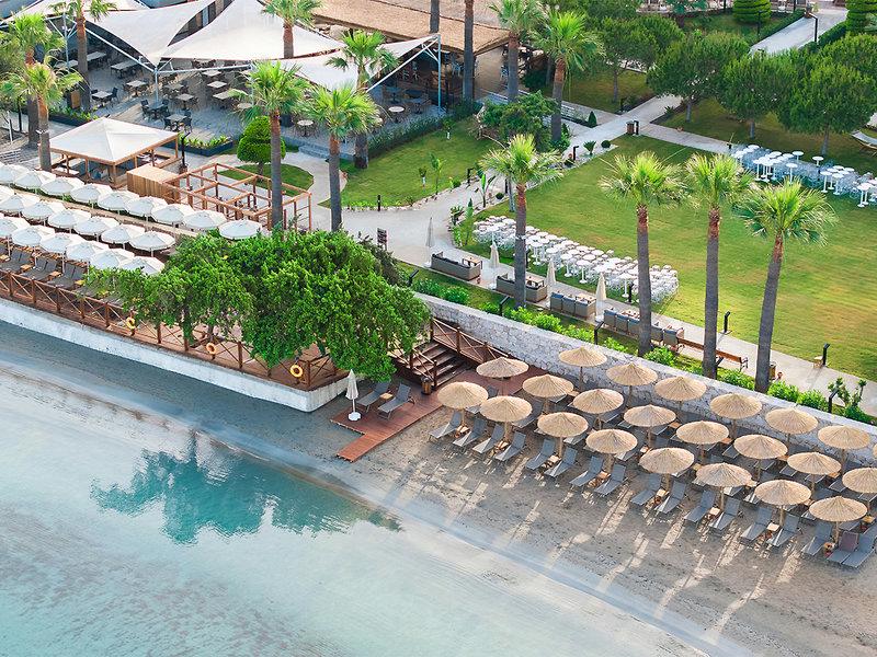 D52EBD8064C4CFB8DB2FD8762C26C34B