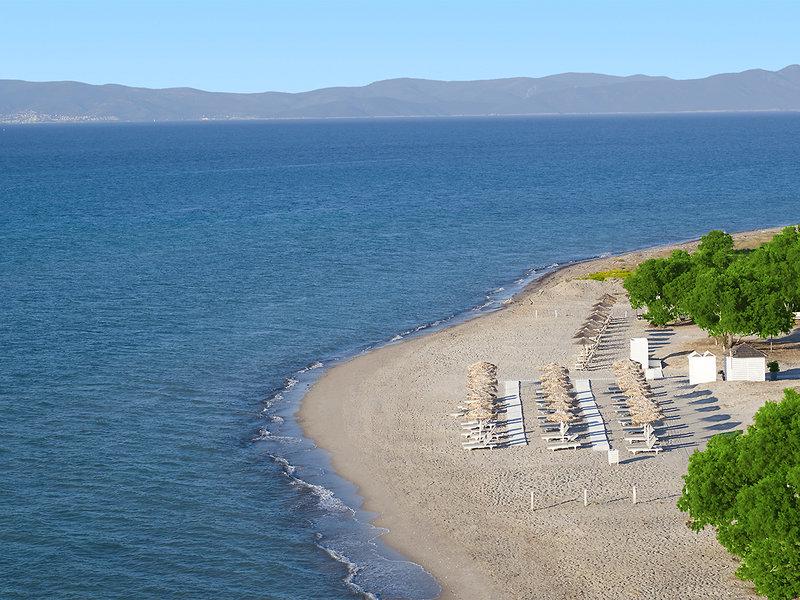 83EC3368A9F6AE6FD5FFA254C8DF793A