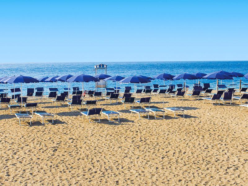 2EC91AEE534A60929FF118E544FC2303