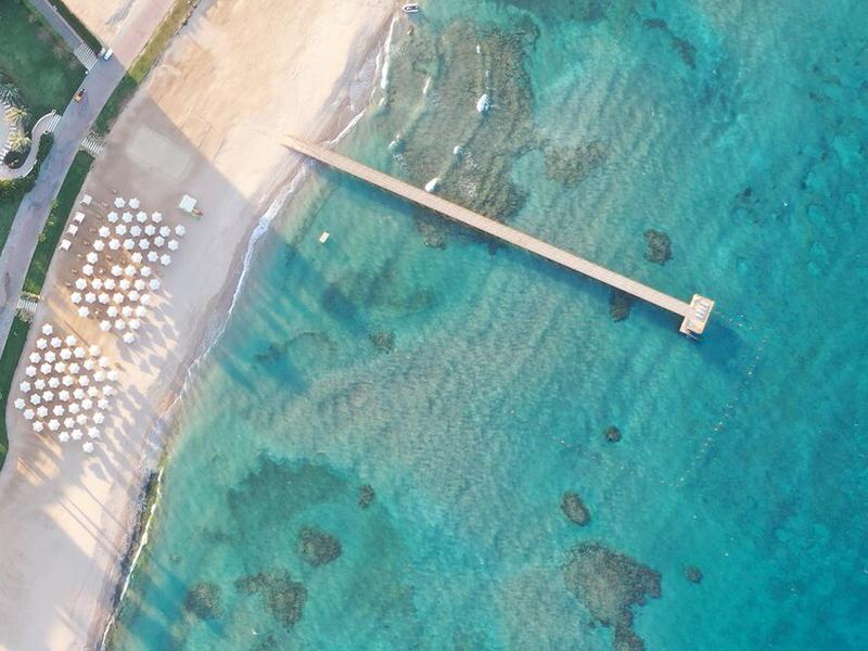 FFEABA67B0AE4805815677A37177E5E7