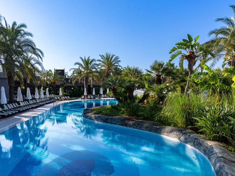 1F4FAA8561624484B03F1C4B25A6FE8C