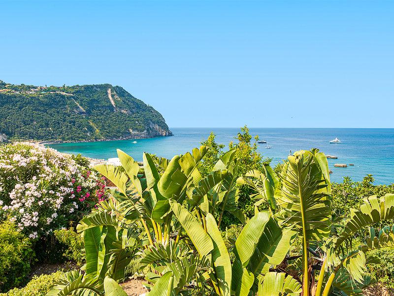 401F0F258CA6BCF0E24E45015E8A5B9B