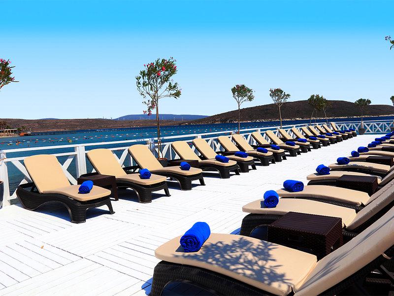 4CF57001FDEE56CC9DCCCBF9DE7D2940