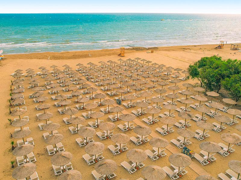 F06C06B44AE336E389CB9E4B4D7D785D